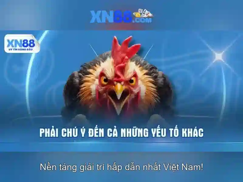 xn88: Tổng quan về nền tảng và tính năng