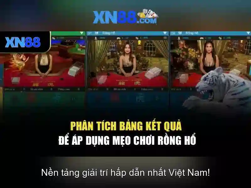 xn88: một cái nhìn tổng quan về nền tảng và cộng đồng