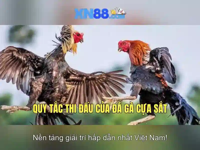 Cách hoạt động của xn88