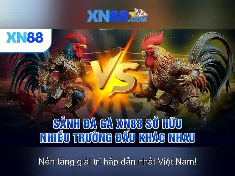 xn88: một nền tảng giải trí trực tuyến