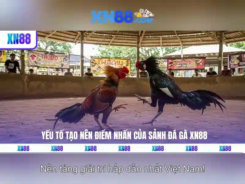 xn88 - Tổng quan, an toàn và trải nghiệm người chơi