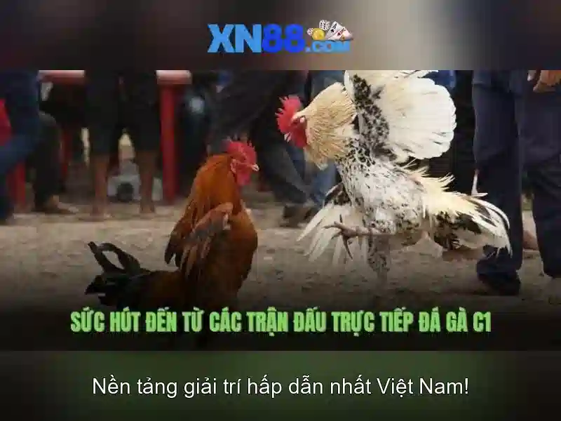 xn88 là gì và những điều cần biết
