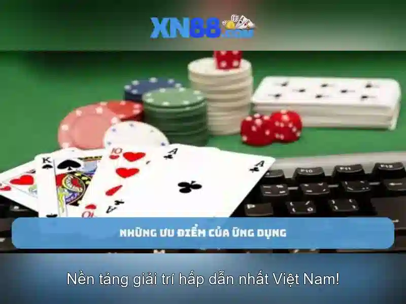 Trải nghiệm người dùng và Phản hồi cộng đồng