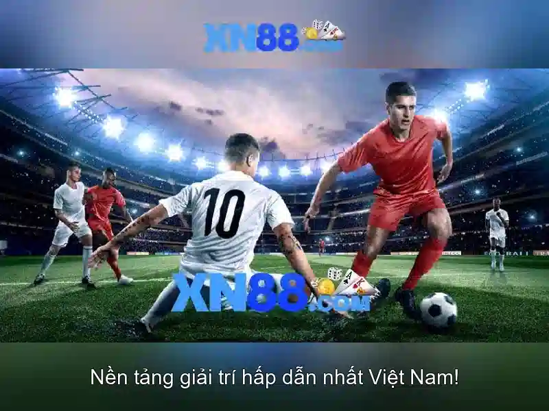 Chất lượng và an toàn người dùng\n