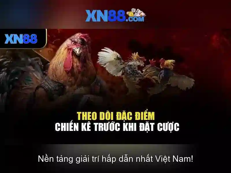 xn88: Đánh giá và khám phá nền tảng giải trí trực tuyến