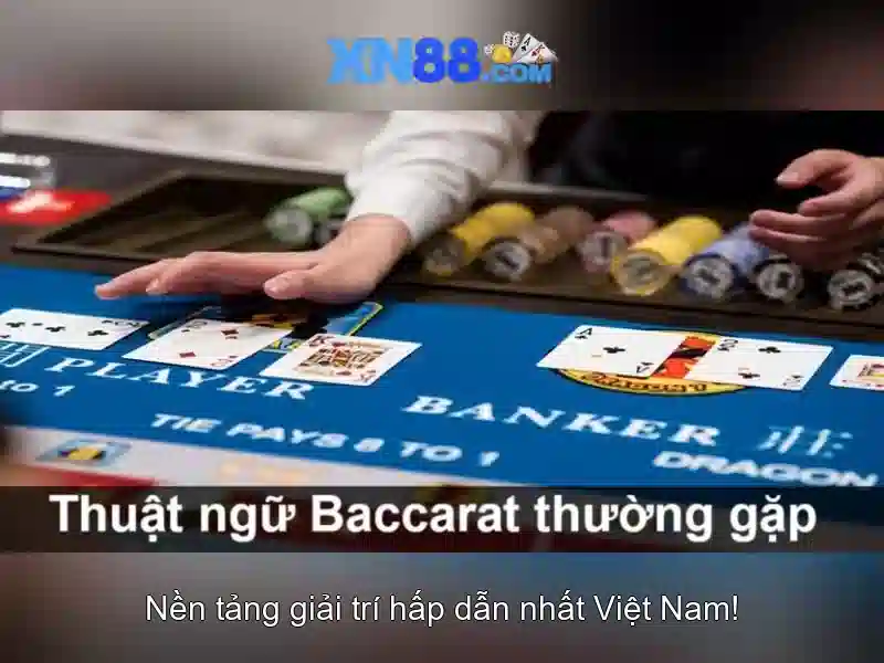 Đặc trưng nổi bật của xn88\n