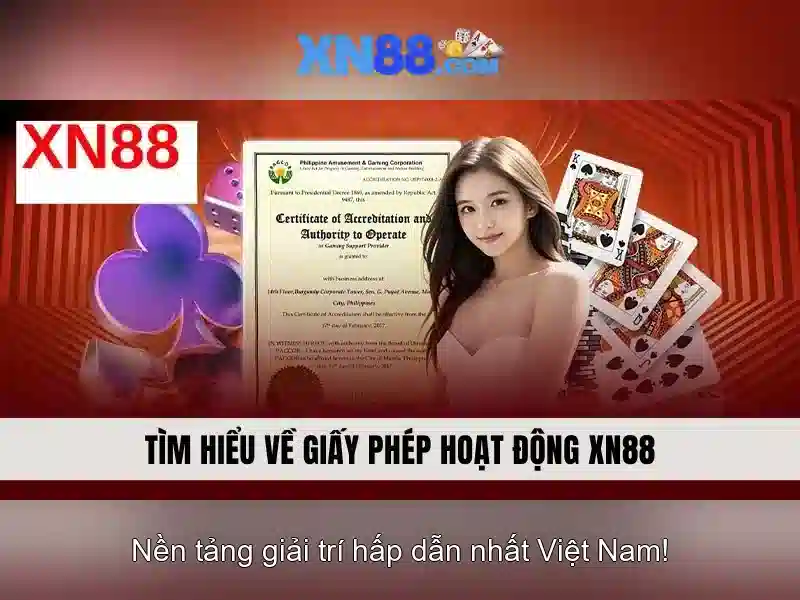 xn88: Đánh giá và tổng quan