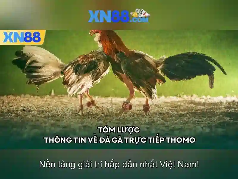 xn88 - Khám phá nền tảng cá cược và tiện ích trực tuyến