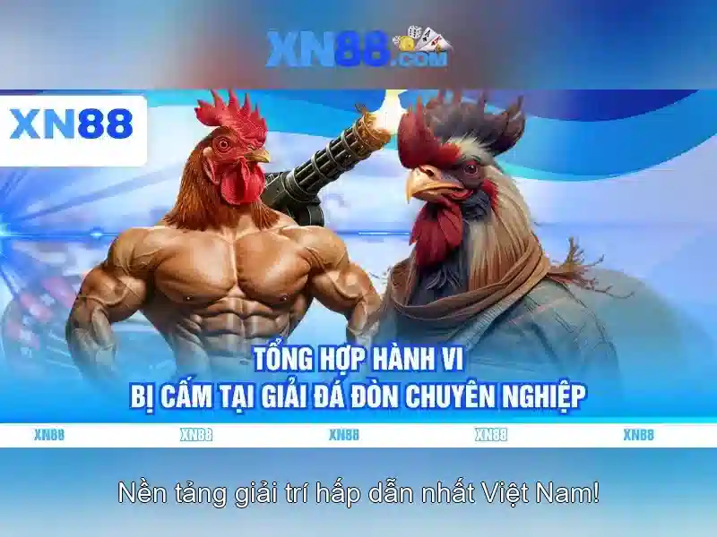 Lịch sử và mục tiêu của xn88