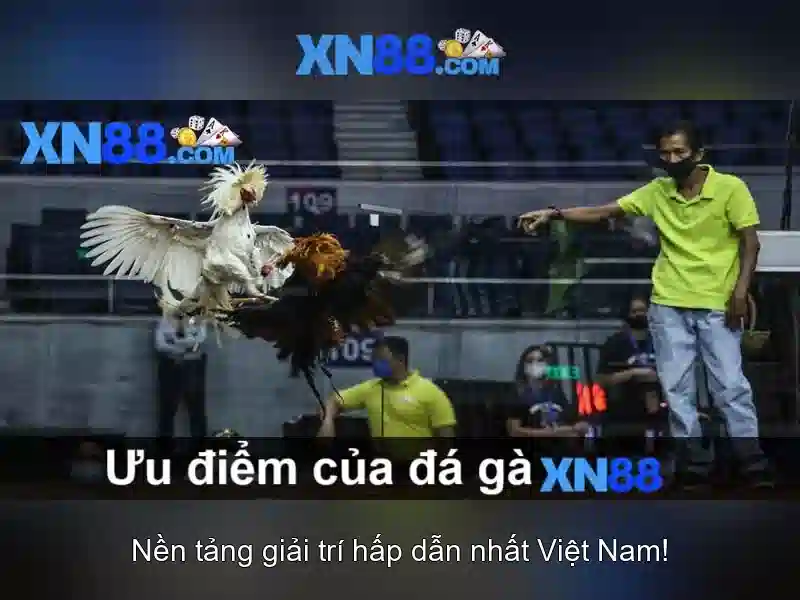 xn88: tổng quan về nền tảng trò chơi và cược trực tuyến