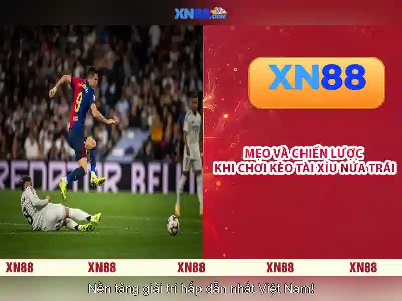 Ý kiến cộng đồng và tác động xã hội