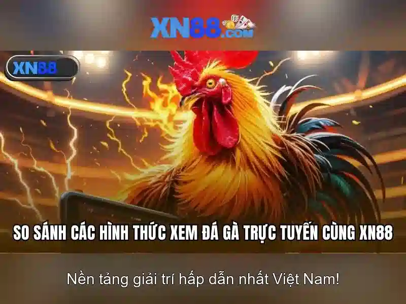 XN88 là gì?\n\n