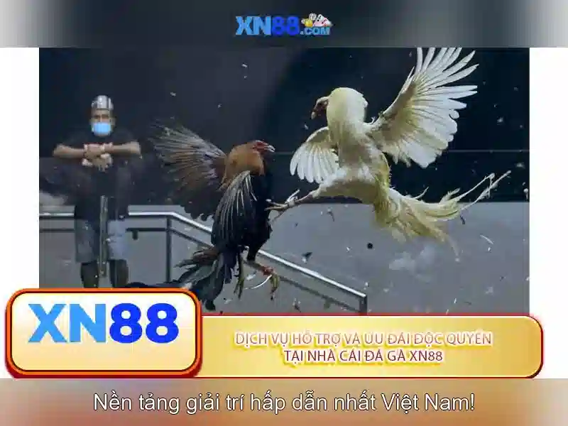 xn88-official: Trải nghiệm tối ưu cùng xn88 trang chủ