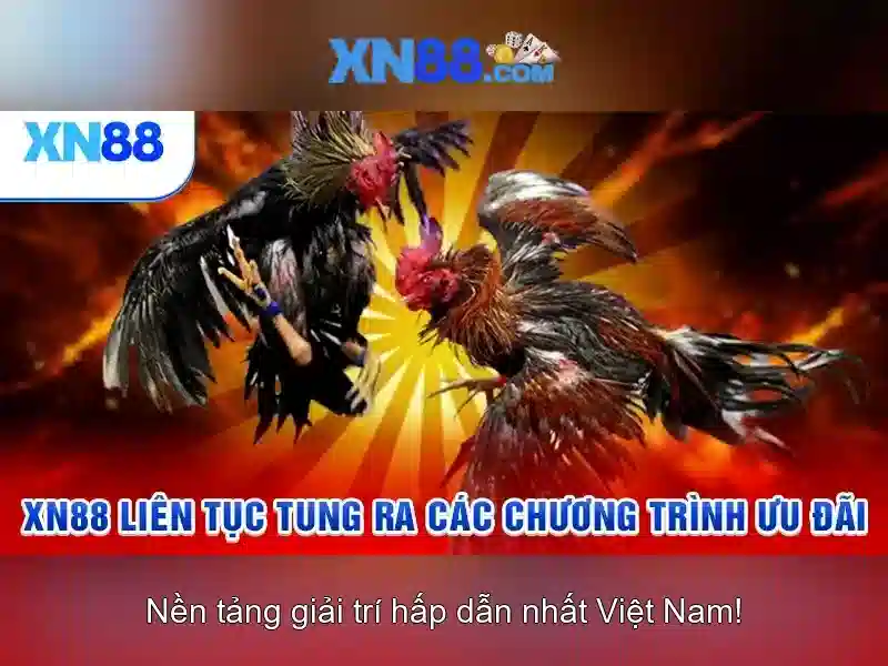 xn88: Tổng quan và trải nghiệm người dùng