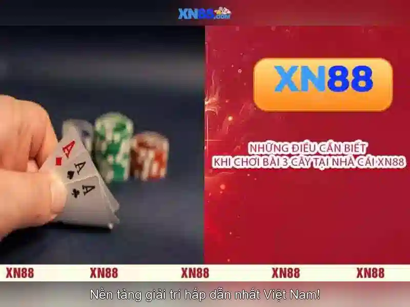 Cung cấp trò chơi và thể thao