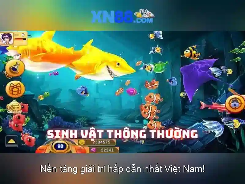 Giới thiệu về xn88