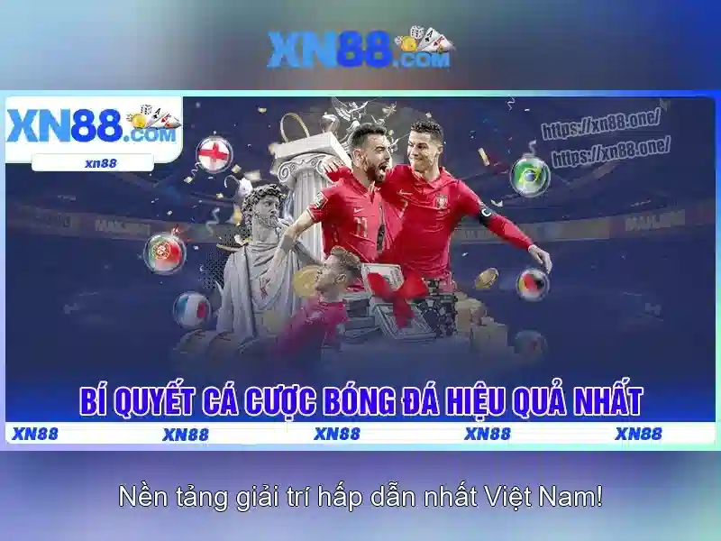 Các tính năng chính
