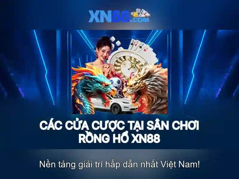 xn88 com – Tổng quan, trải nghiệm và tiềm năng phát triển