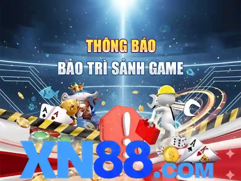 Trải nghiệm người dùng và phản hồi cộng đồng